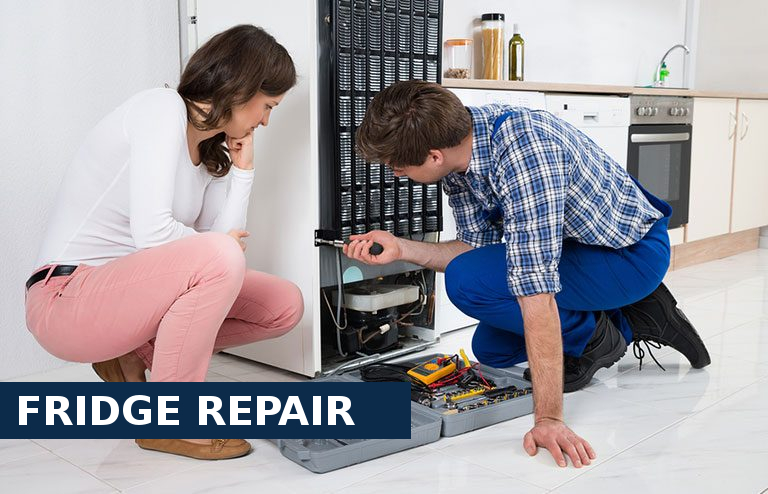 Fridge Repair Pimlico